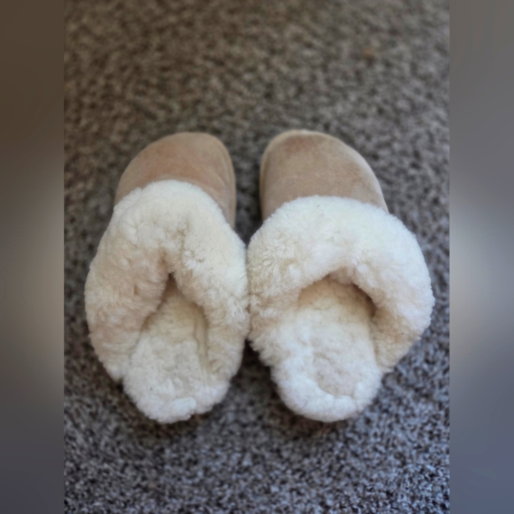 Old Friends Slippers